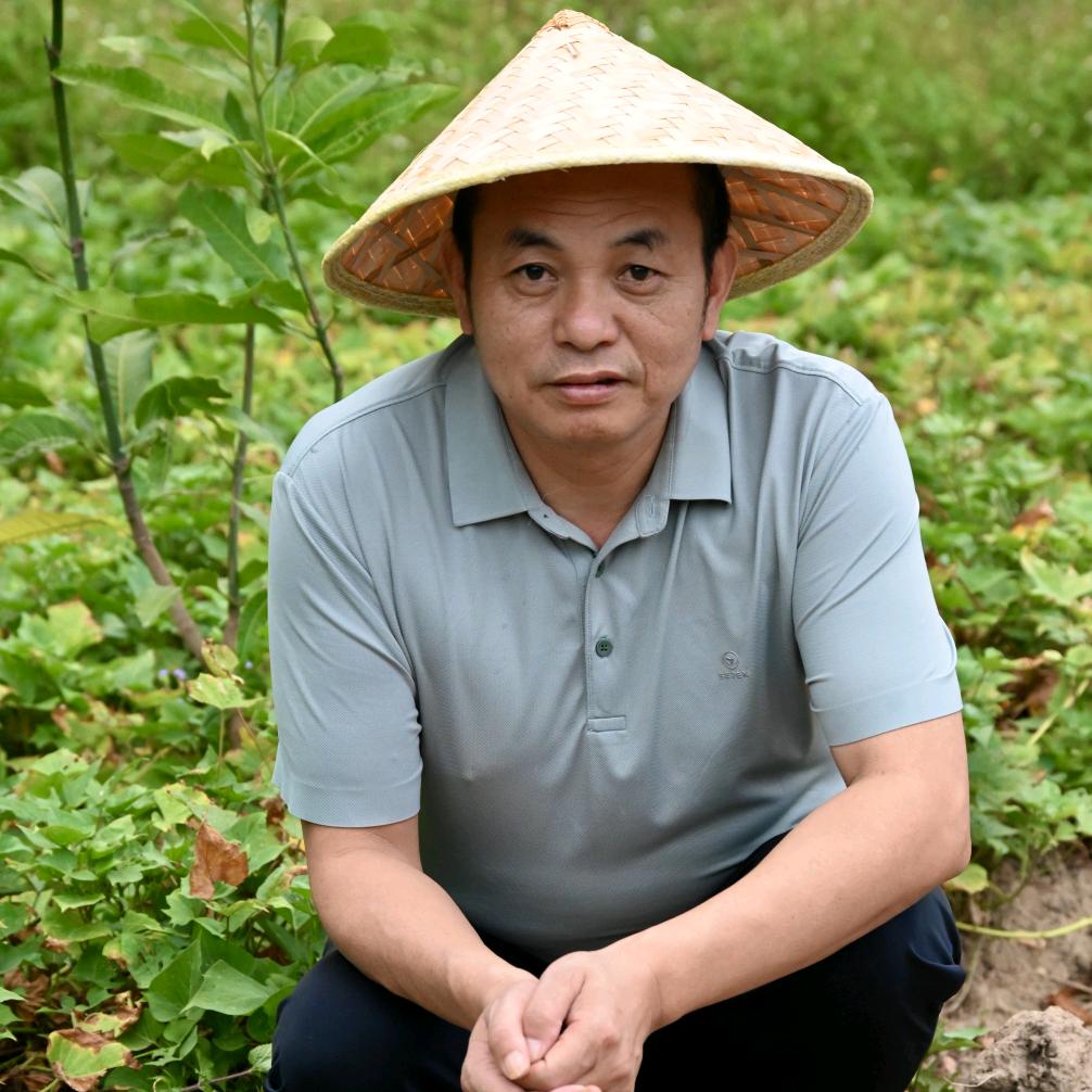 金哥湄食家