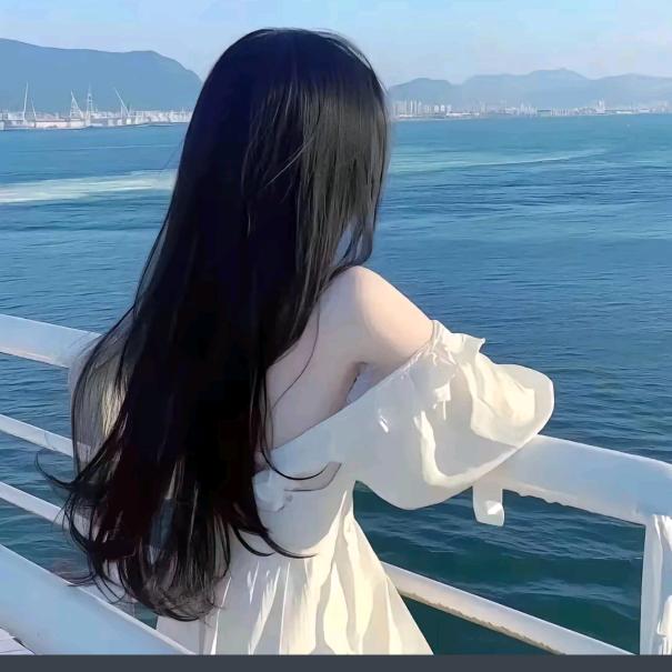 呆呆宝