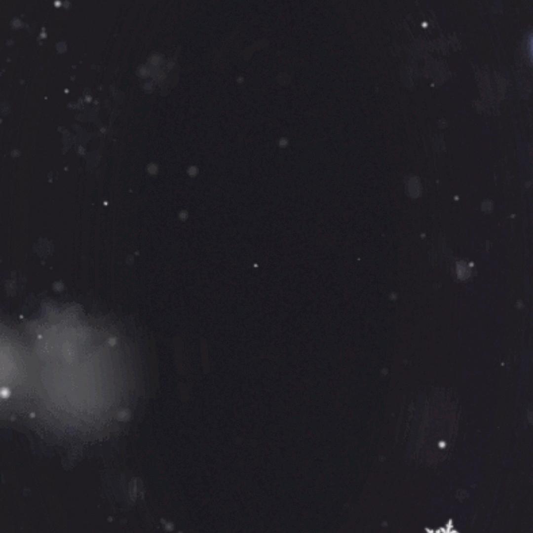 黄瓜炒月亮