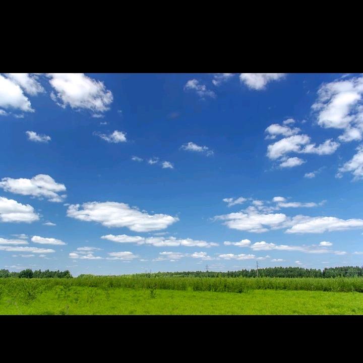 闲云野鹤