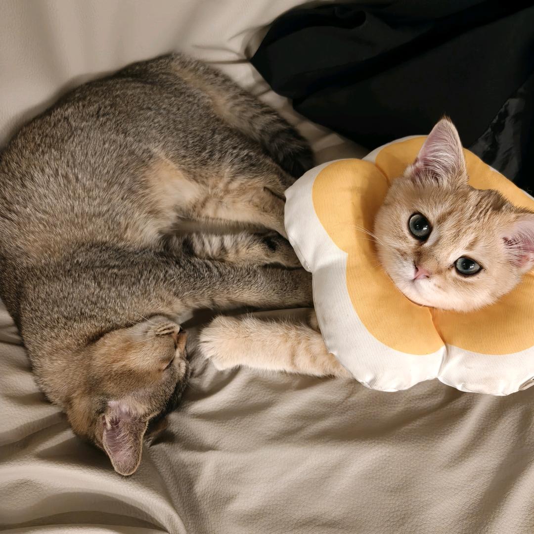 🐲「沐涵」🐲