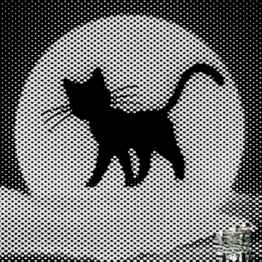 不瘦到100斤不换名字