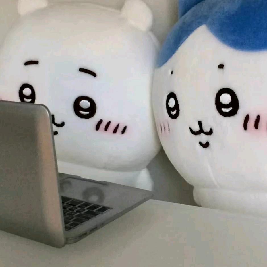 天降小熊宝