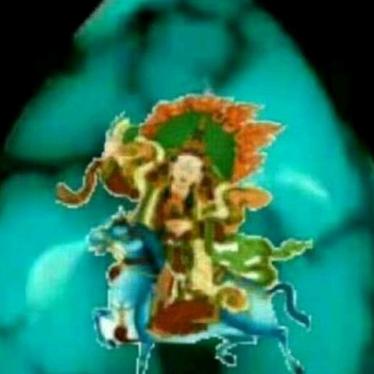 上门装监控随机随到