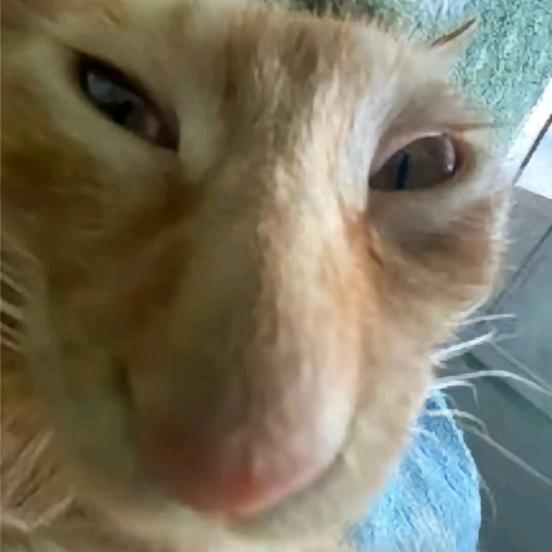 ^>⸝⸝⸝⸝<^੭ﾞ