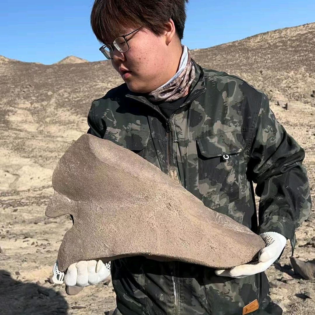 阿枫奇石