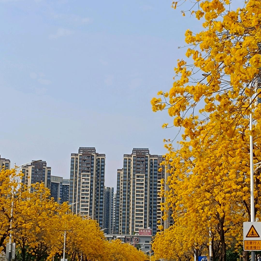 xuxiaowen
