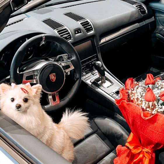 日化百货精选供应链