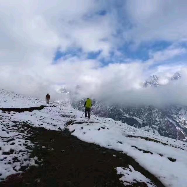 上交所(韭门提督）