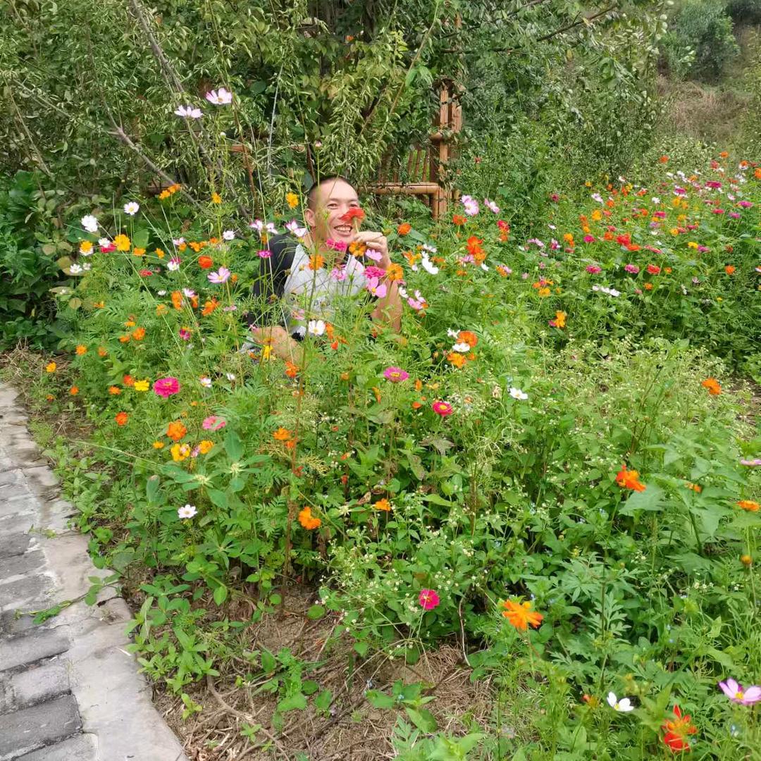飞龙在天。