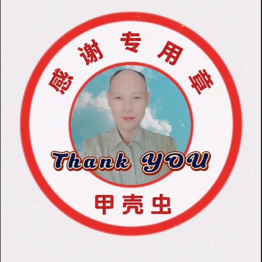 甲壳虫