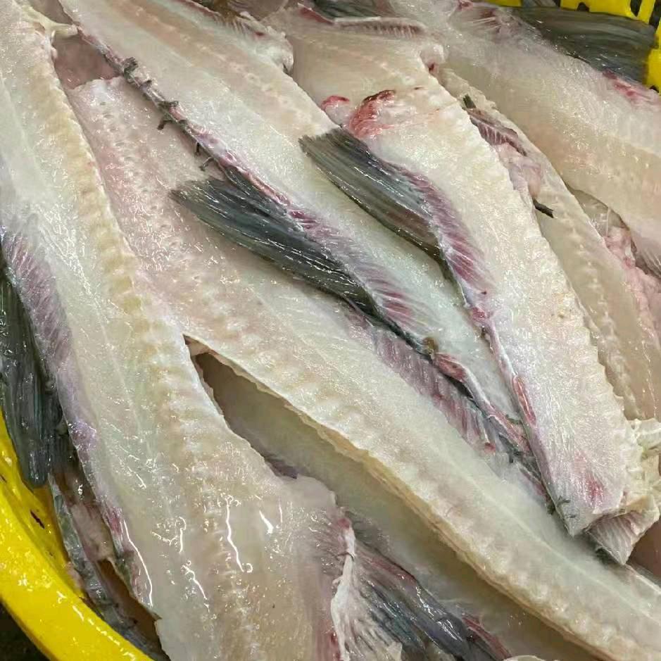 @中山脆肉鲩，鱼骨，鱼尾，鱼腩骨批发零售