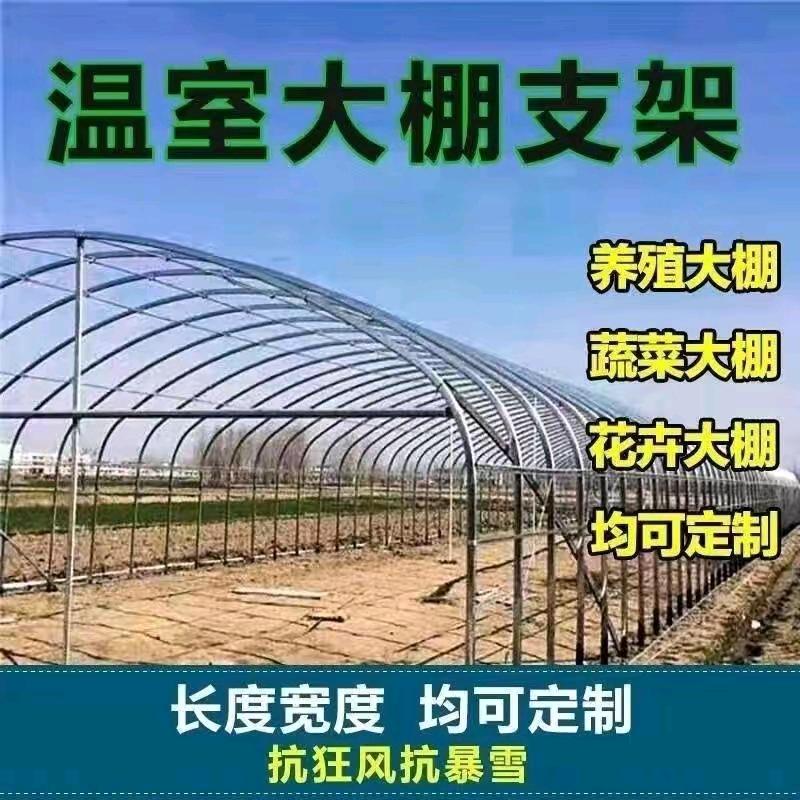 天津农业大棚生产厂家