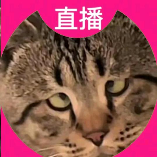 单挑怪