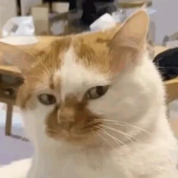 暴君
