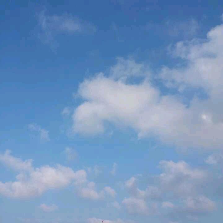 钱多多🌷