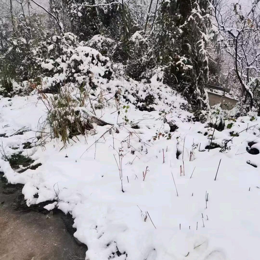 永不相随