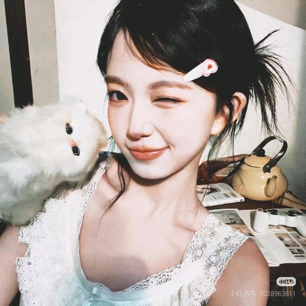 内向的香菜