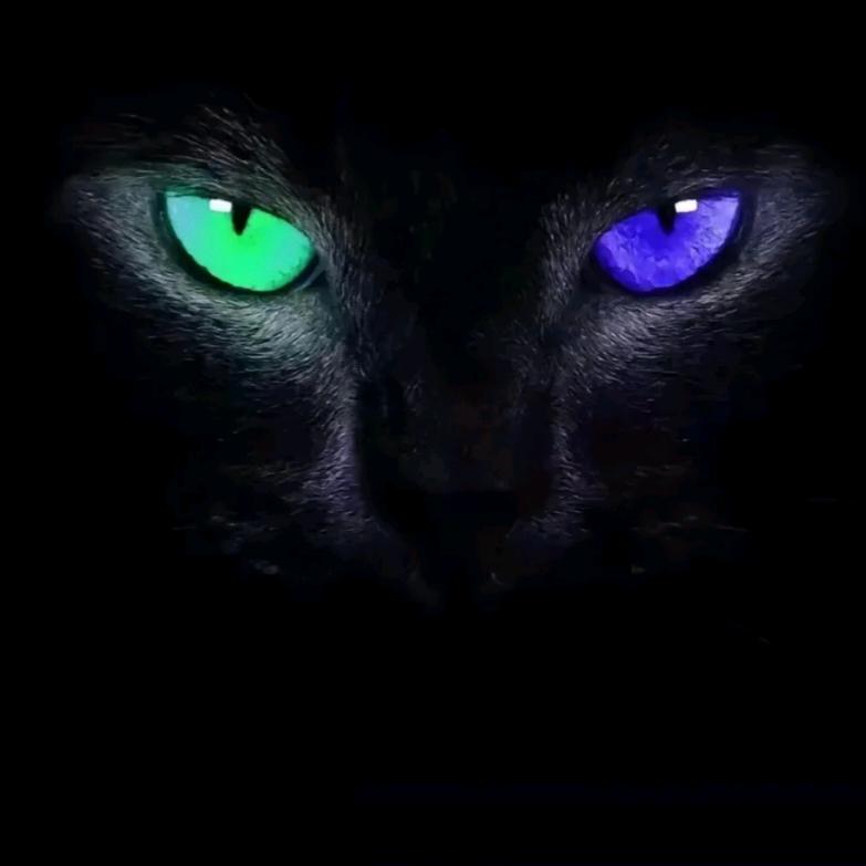 ☞☜