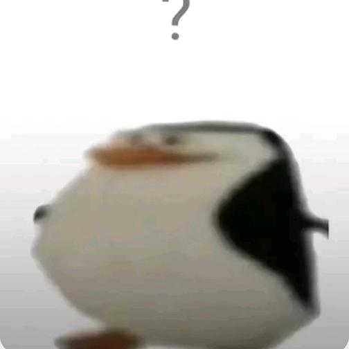 马达加斯加罗少