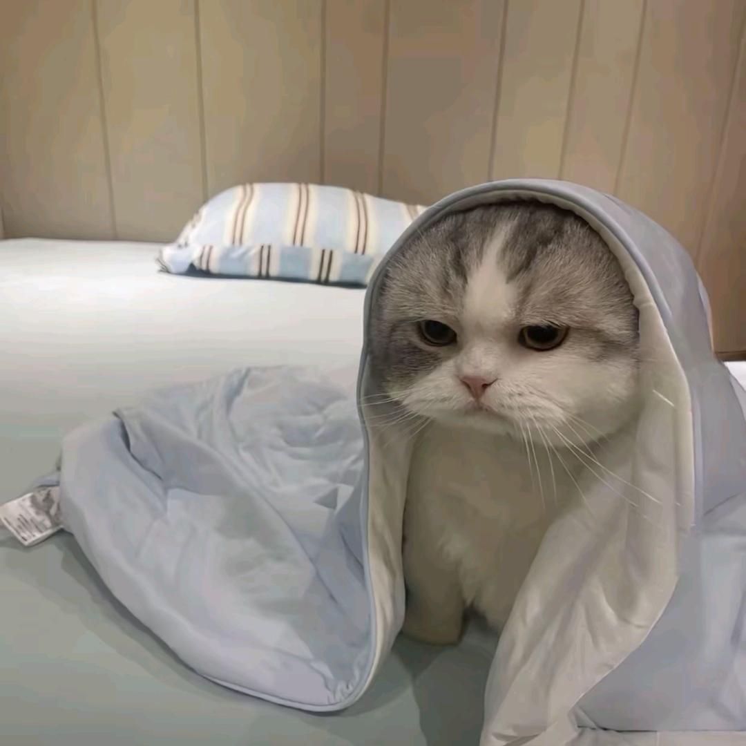 ＋十