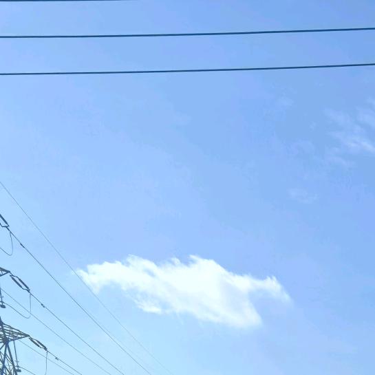 柱一