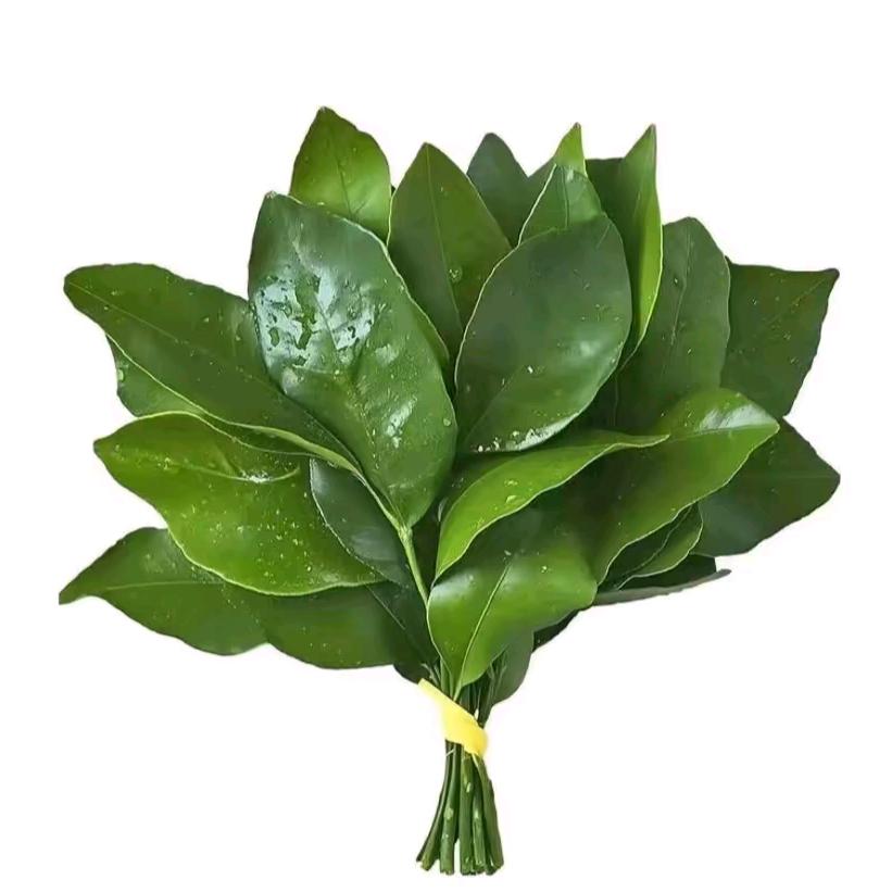 长汀租房～贝贝