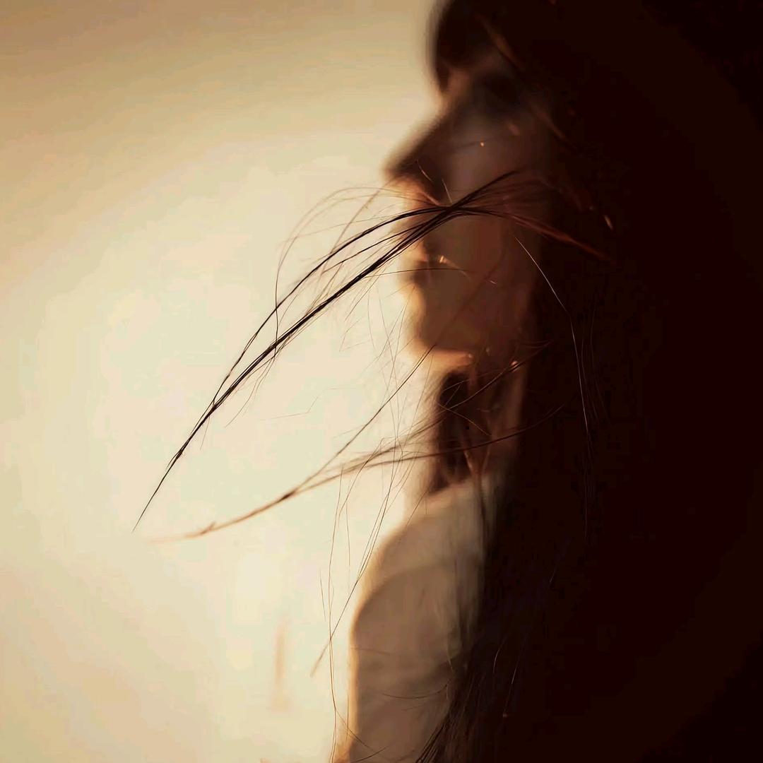 呆呆.