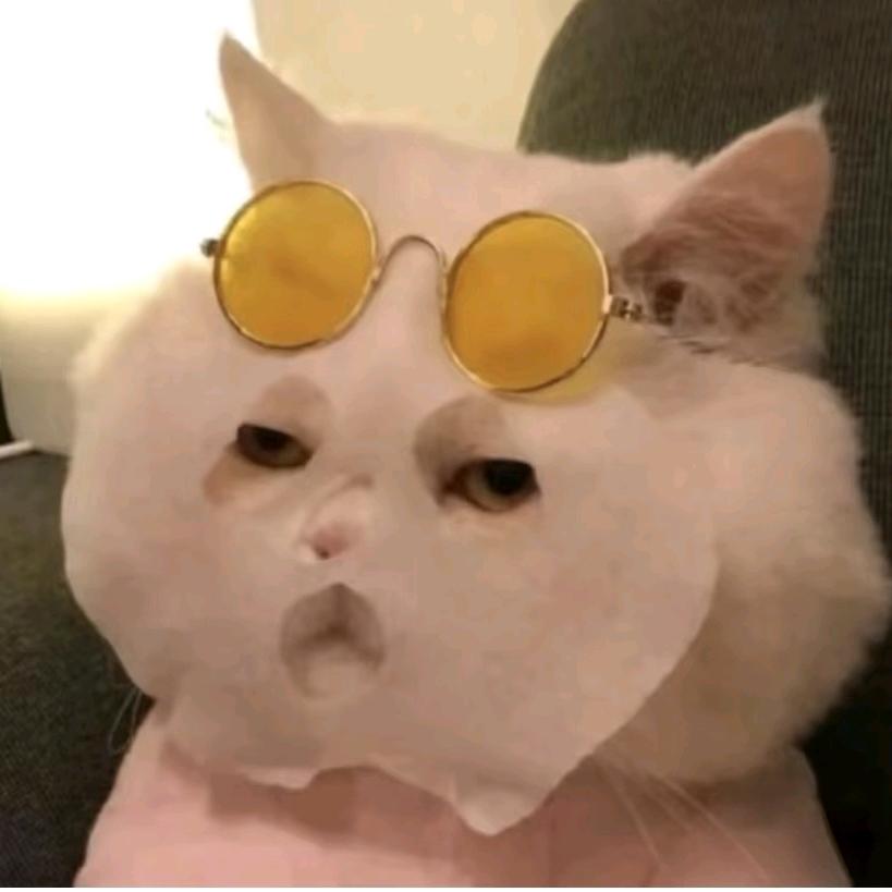 是珊瑚的珊！