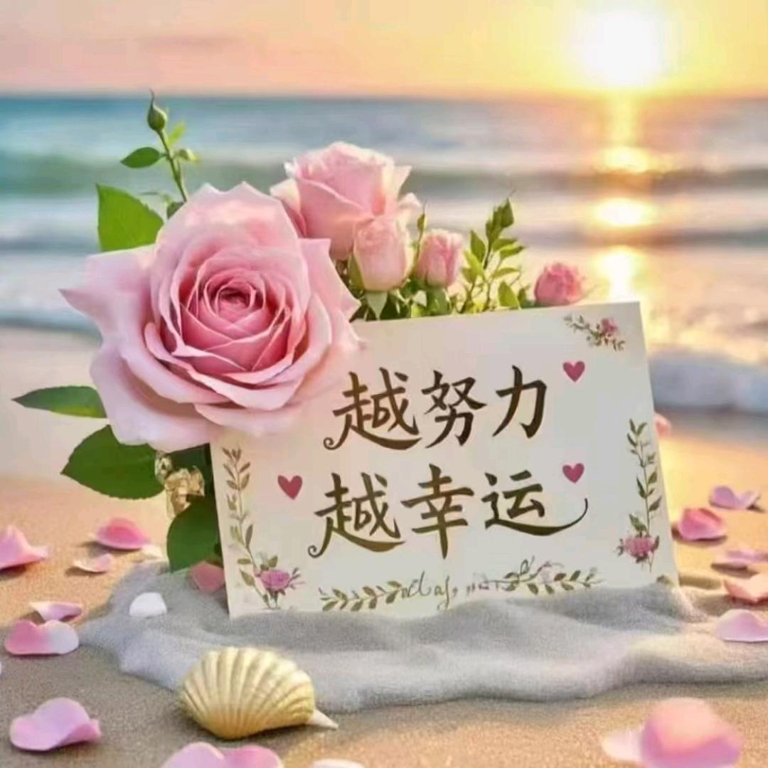 文姐姐