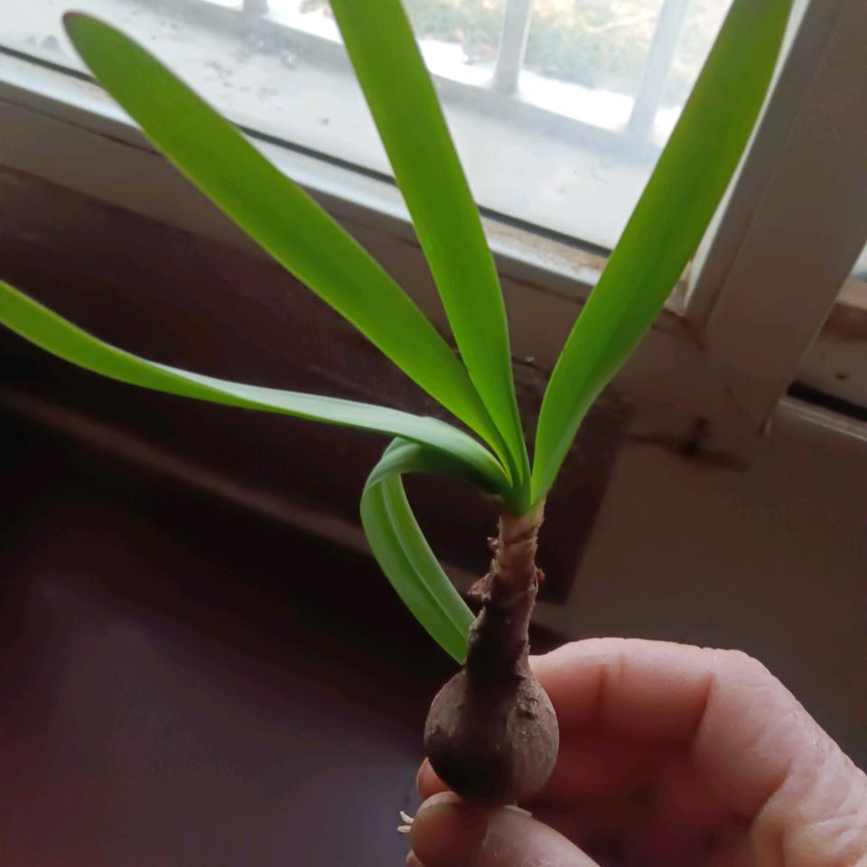 合作共赢