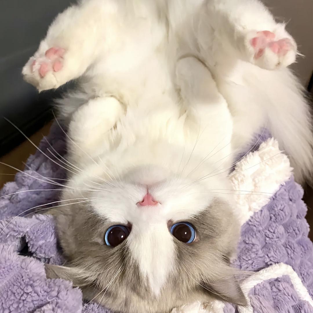 云边