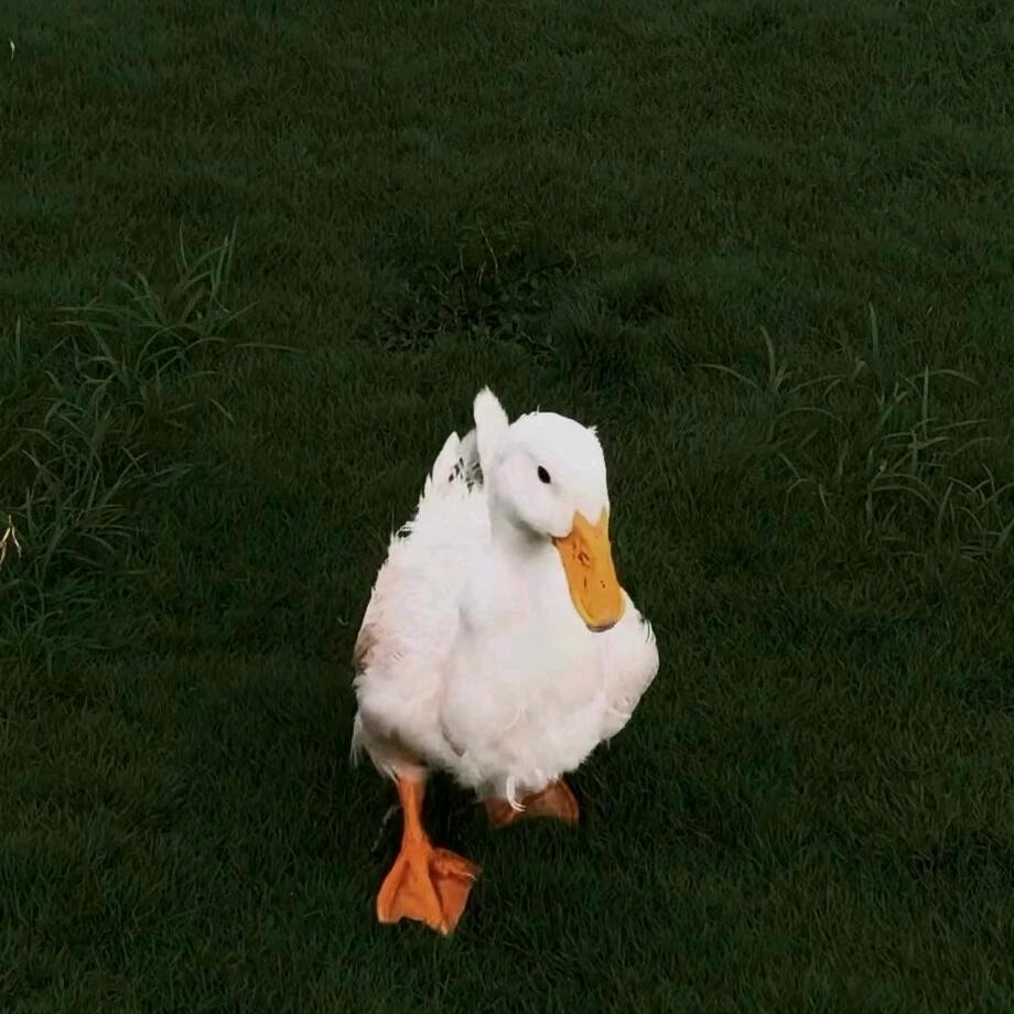 小K.