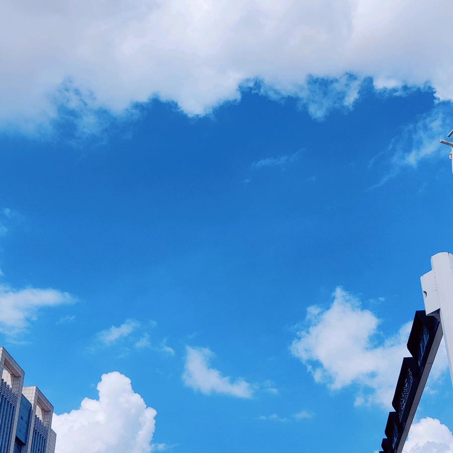 从零开始（不定时开播。）