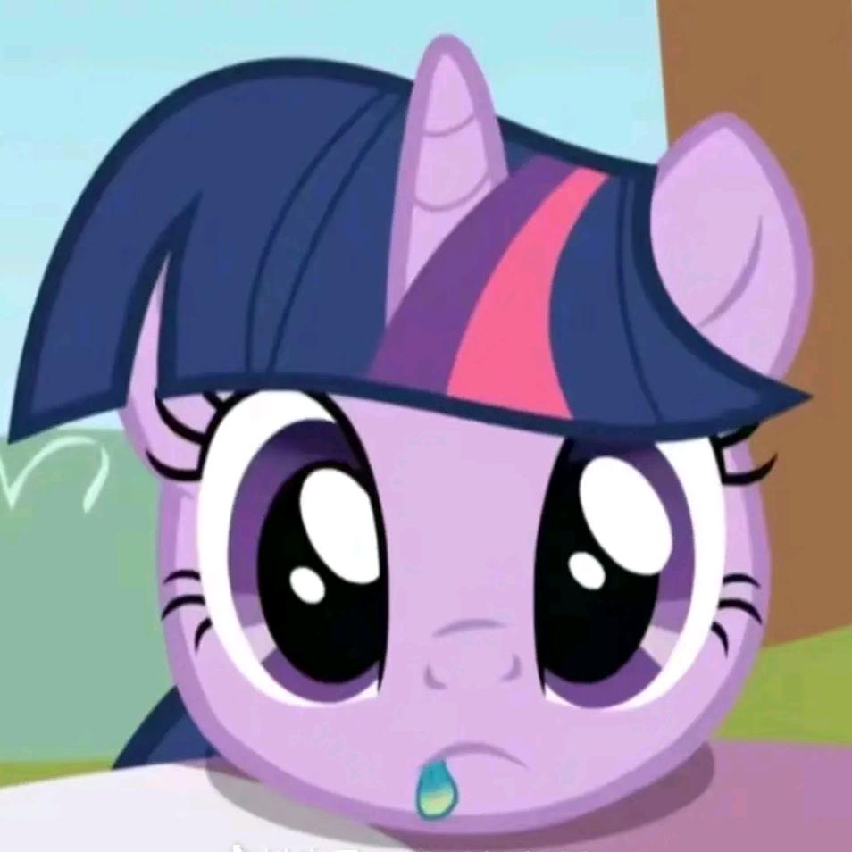Twilight Sparkle♬