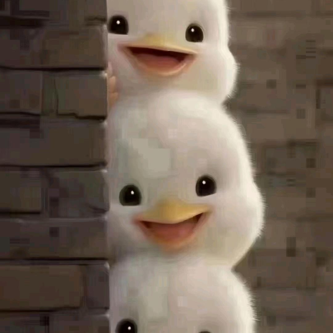 星
