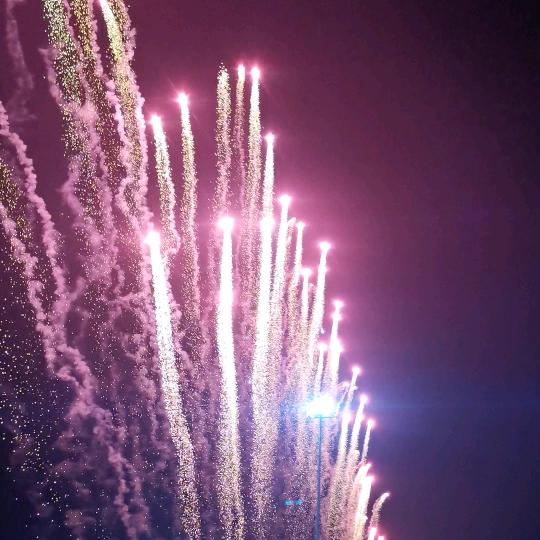 无人扶我青云志，我自己也上不去。