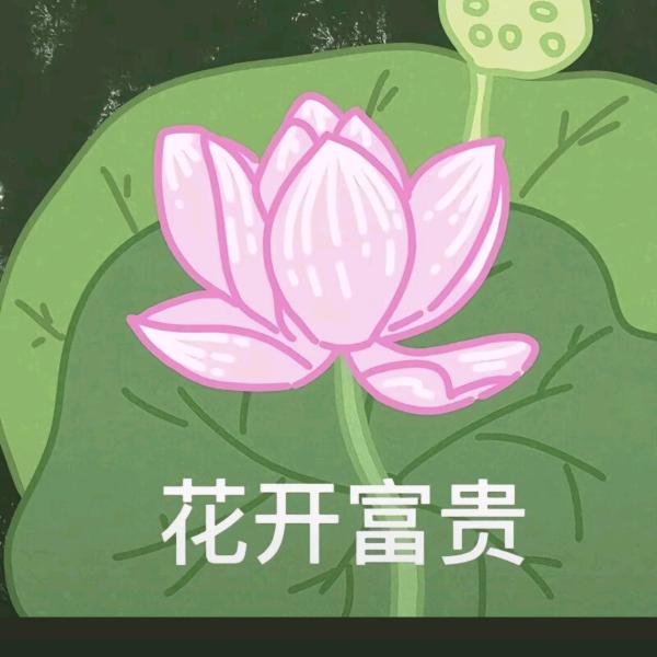 取什么名字呢