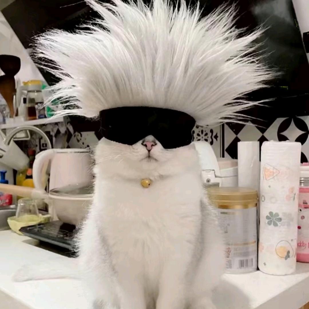 穿皮鞋♥不打油