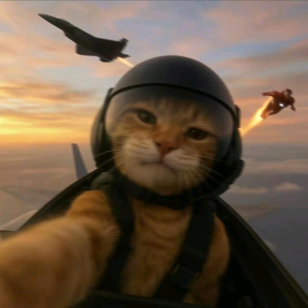 罗密欧与猪过夜