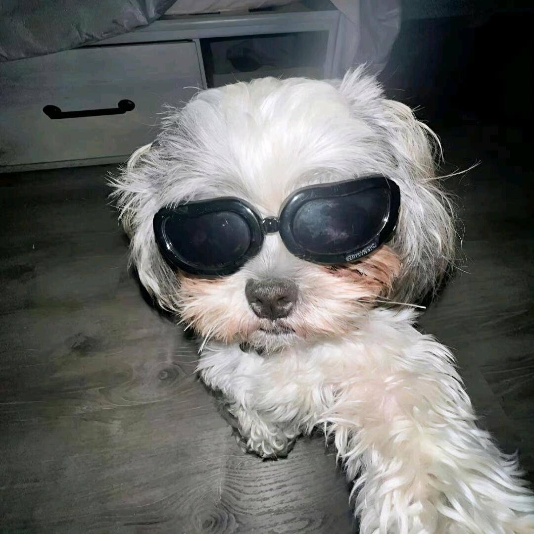 超级无敌暴龙战士