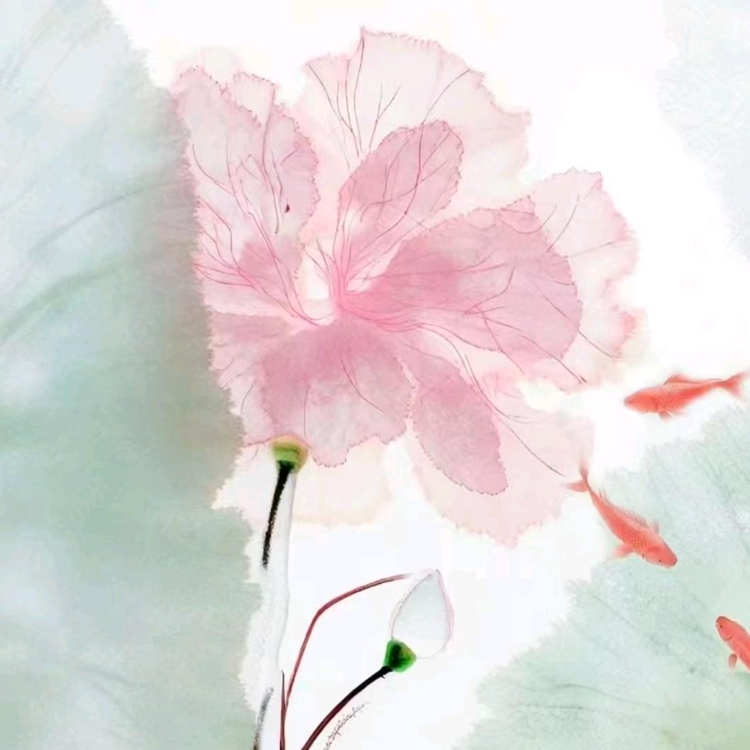 思政宋宋呀❤️