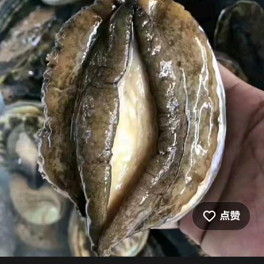 修