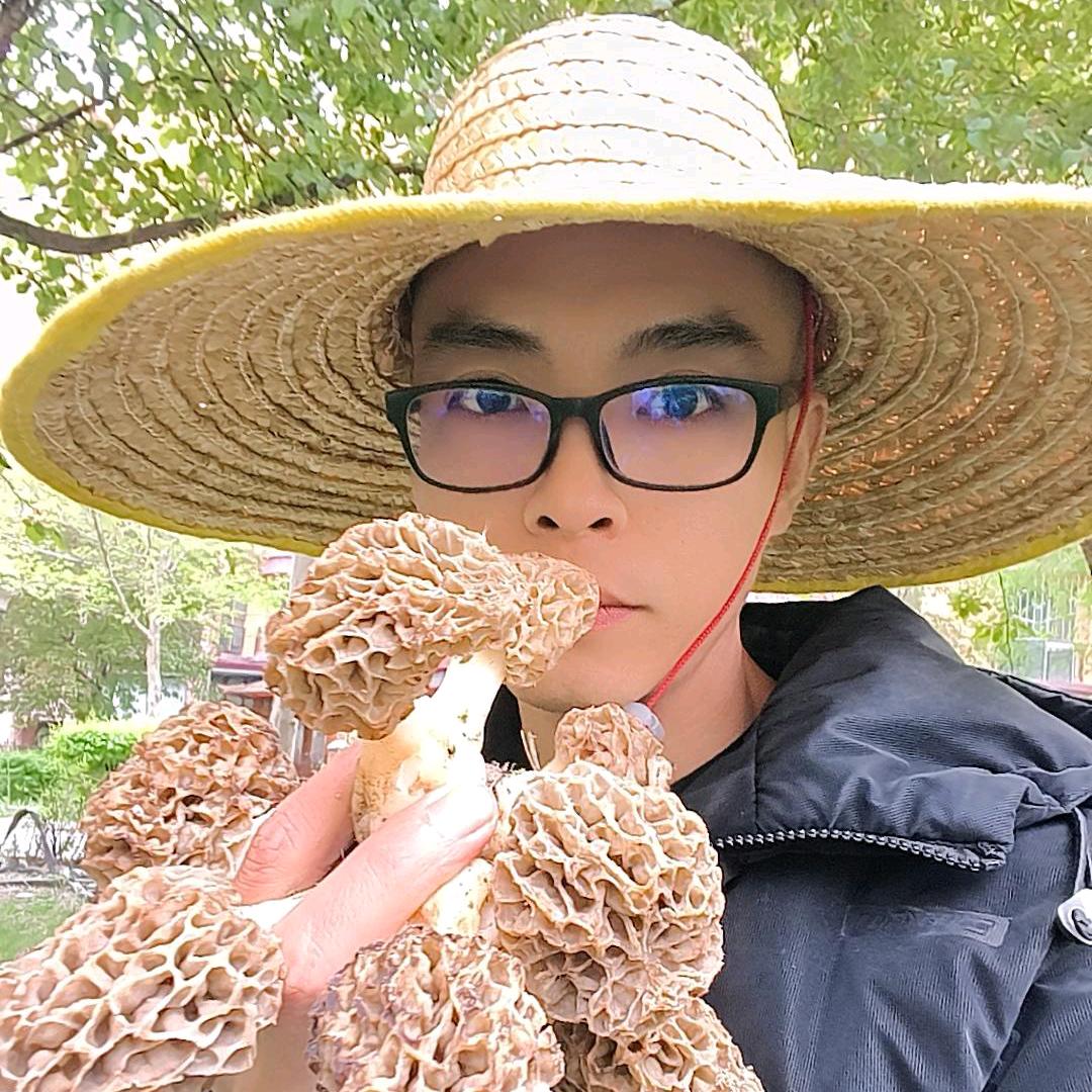 伊犁河野蘑菇