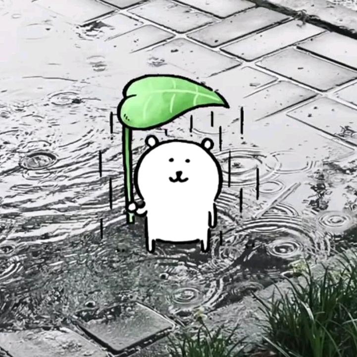 亦枫