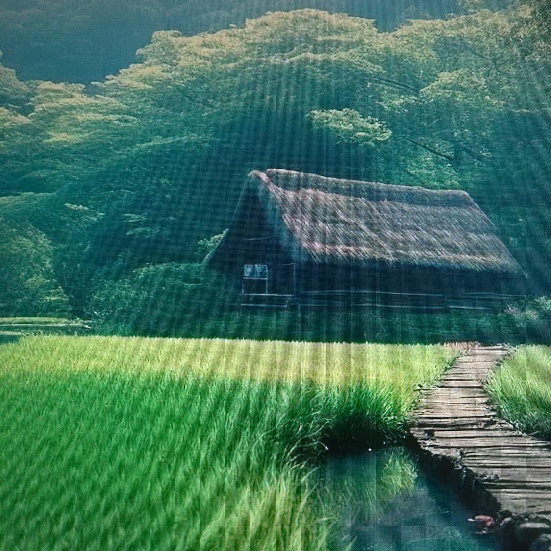 努力搬砖中^O^头像