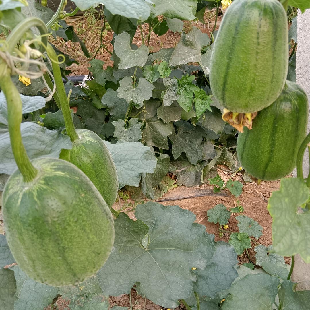 人生没有最好的年龄