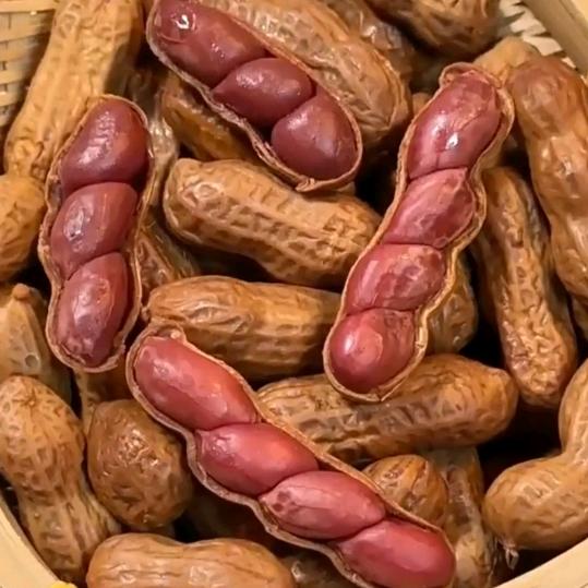 精选助农