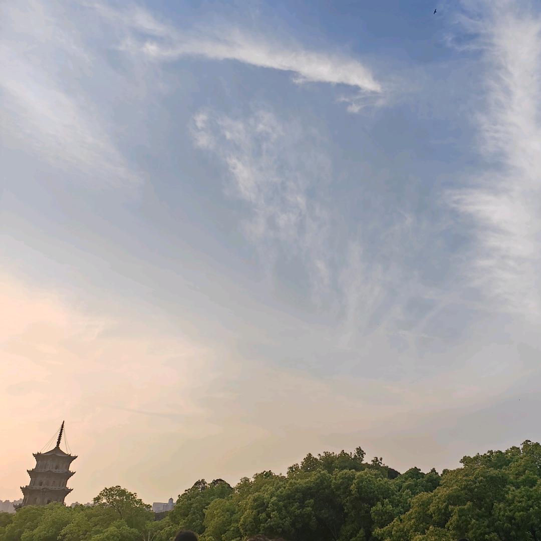 卅🐖🐖🐖🐖卅