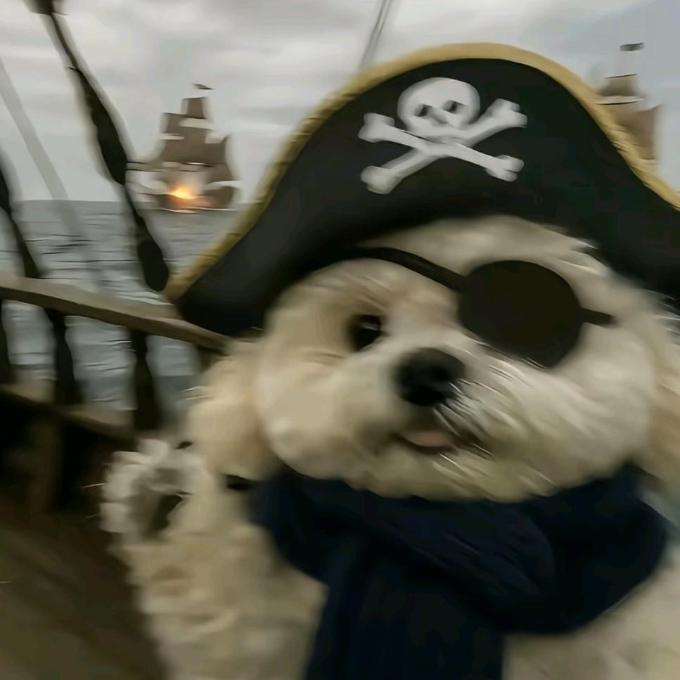 加勒比海的金帆